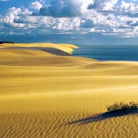 Национальный парк «Куршская коса». Дюны и море