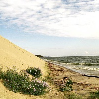Национальный парк «Куршская коса». Дюны