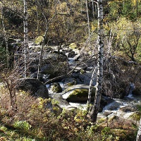 Река Белокуриха