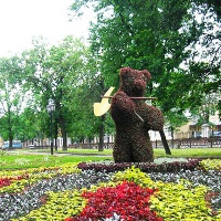 Ярославль. Медведь (топиарная скульптура)