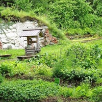 Ботанический сад на Соловецких островах