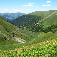 Алтайский пейзаж. Цветущая долина