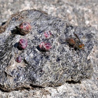 Камень альмандин из месторождения Кителя