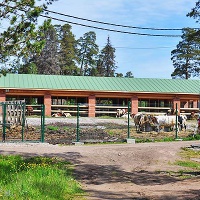 Валаам. Монастырская ферма