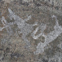Беломорские петроглифы в Залавруге
