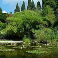 Никитский ботанический сад. Пруд черепахи Тортиллы