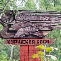 Национальный парк «Куршская коса»