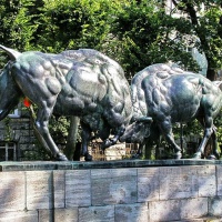 Калининград. Скульптура «Борющиеся зубры»
