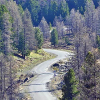 По дороге к Улаганскому перевалу