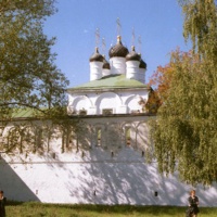 У стен Александровского Кремля