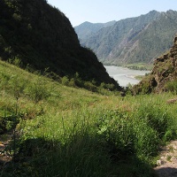 Урочище Чеч-Кыш. Вид из урочища на Катунь