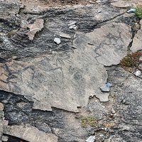Петроглифы в урочище Чуй-Оозы в месте слияния Чуи и Катуни