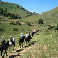 Конные прогулки на плато Ай-Петри