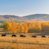 «Уфа – восточная точка Европы»  3 дня /2 ночи