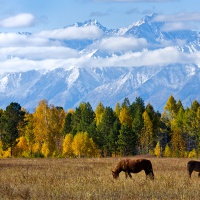 Тур в Хакасию 