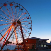 Эти смешные животные