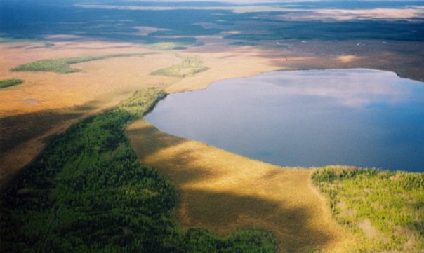 Озеро Копыто: идеальное место для рыбалки в Московской области
