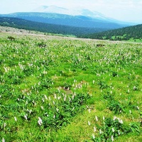 Вишерский заповедник. Пейзажи