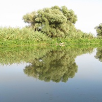 Ландшафты Дельты Волги