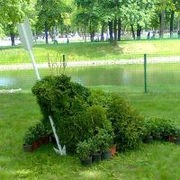 Абакан. Парк ландшафтного дизайна