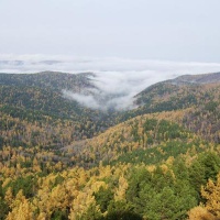 Заповедник 