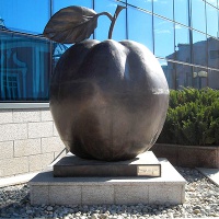 Курск. Памятник курской антоновке