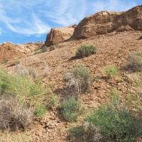 Селитренное городище. Остатки города Сарай-Бату