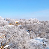 Январский мороз в Воронеже