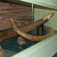 Дудинка. Краеведческий музей, экспонаты