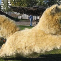 Абакан. Парк ландшафтного дизайна