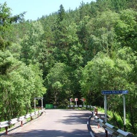 Дорога к заповеднику 