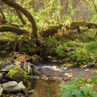Заповедник 