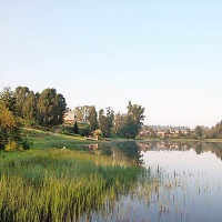 Завод Михайловский. Усадьба Сведомских. Пруд на территории усадьбы