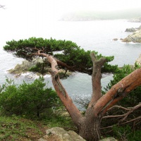 Морской заповедник