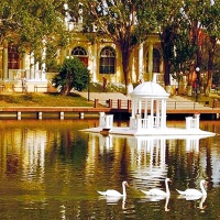 Астрахань. Лебединое озеро.