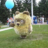 Абакан. Парк топиарного искусства