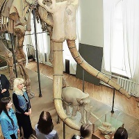 Абакан. Хакасский краеведческий музей, экспозиция