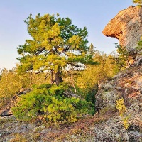 Чусовой. Природный памятник 