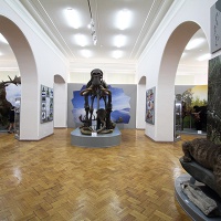 Астрахань. Краеведческий музей. Экспозиция. Доисторические животные1