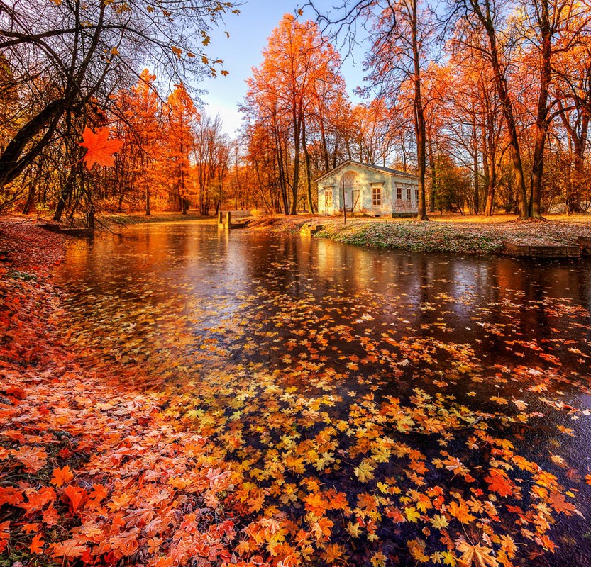 Болдино Фото Осенью