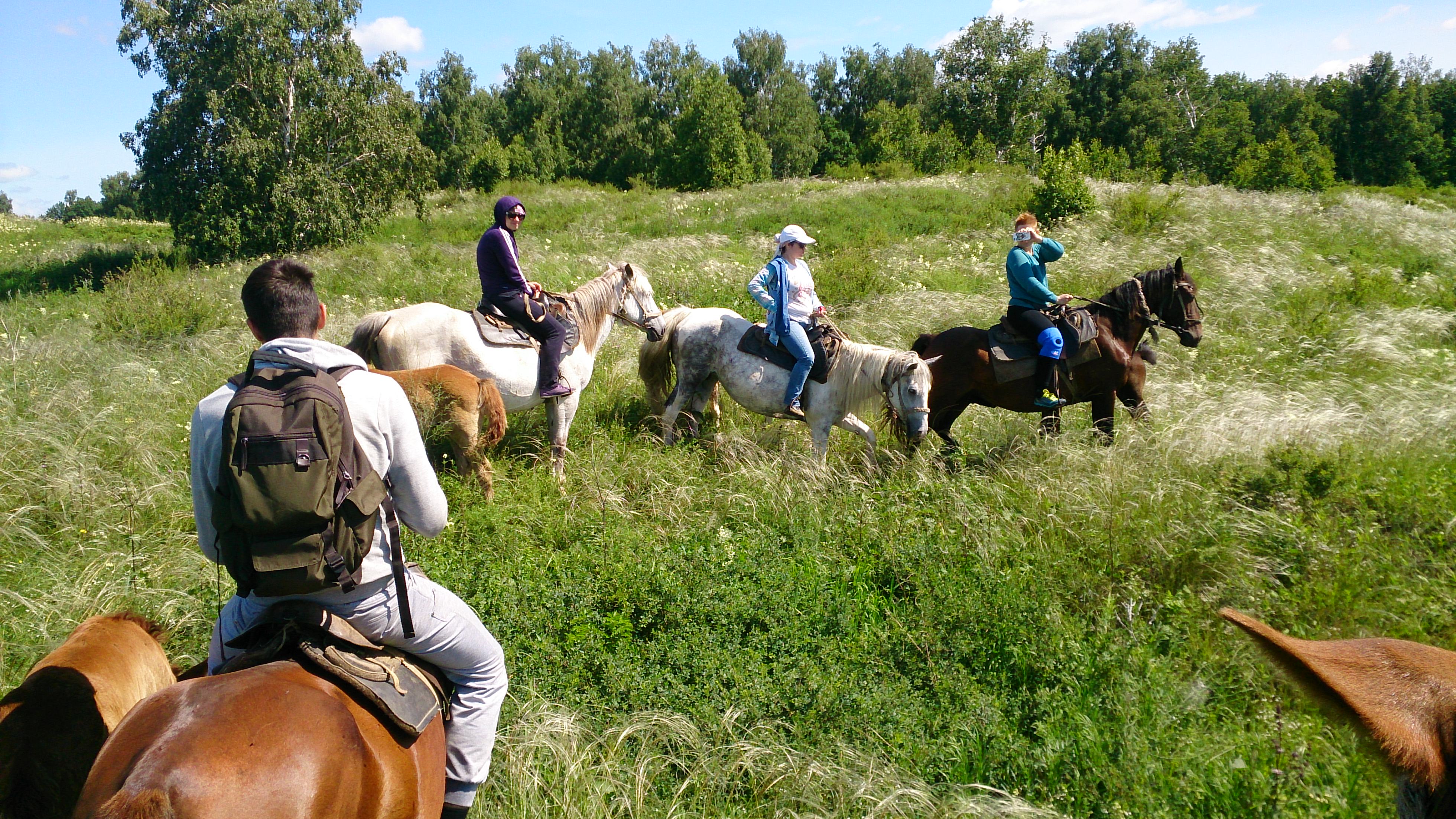 Конюшня экскурсии. Пайн Ривер конные прогулки. Конный Суздаль. Борисоглеб Муром конные прогулки. Экскурсия на лошадях.